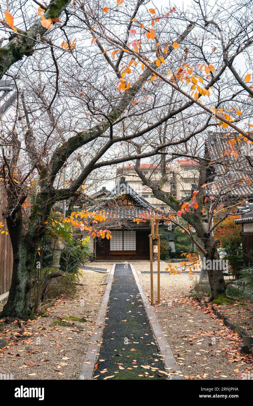 Antica città giapponese di Imaicho in autunno a Nara, in Giappone Foto Stock