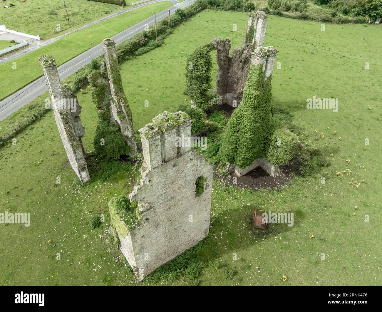 Rovine abbandonate della torre del castello di Castlecuffe con grandi camini sopra i camini, pareti angolari alte su un prato verde in Irlanda Foto Stock