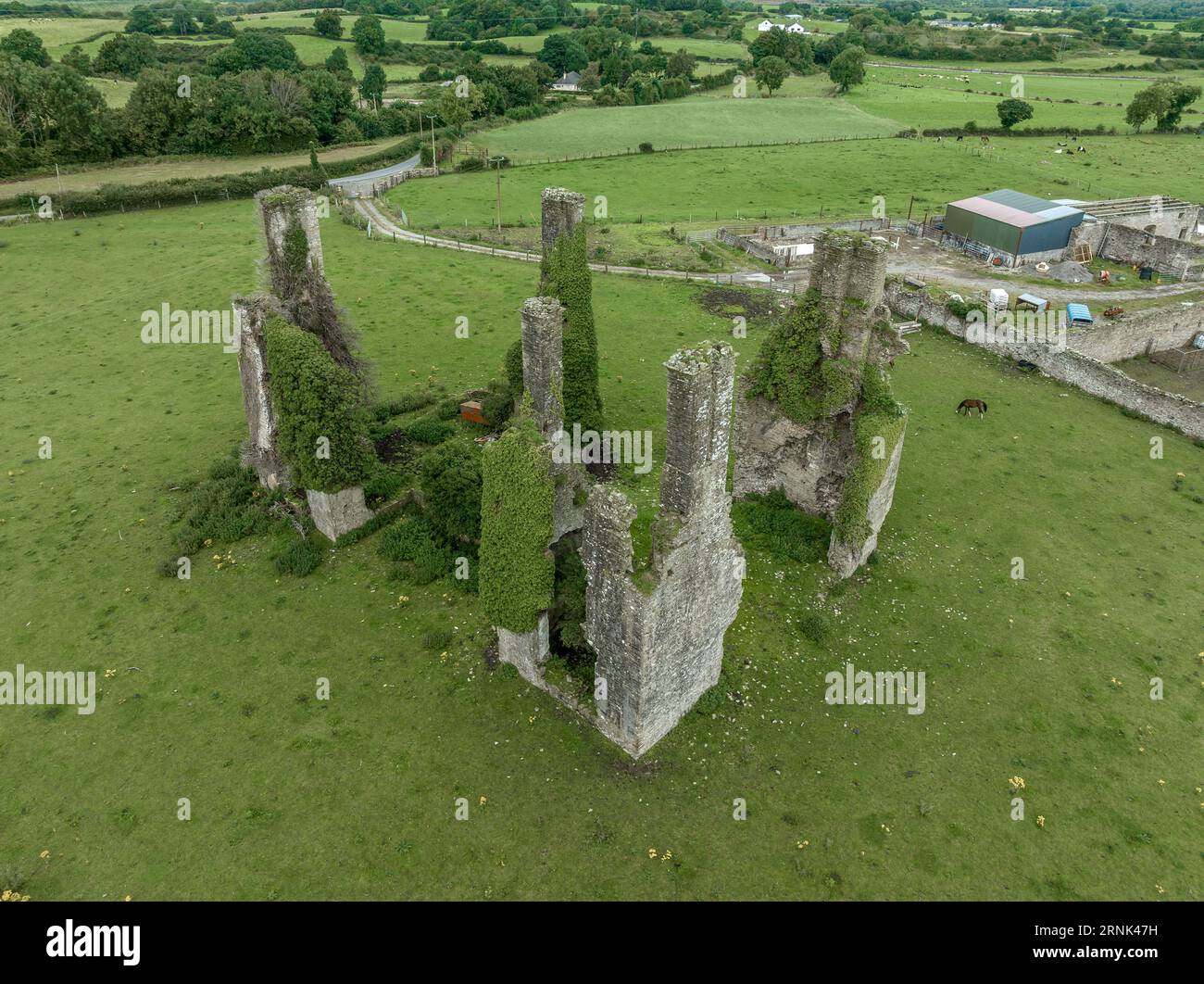 Rovine abbandonate della torre del castello di Castlecuffe con grandi camini sopra i camini, pareti angolari alte su un prato verde in Irlanda Foto Stock