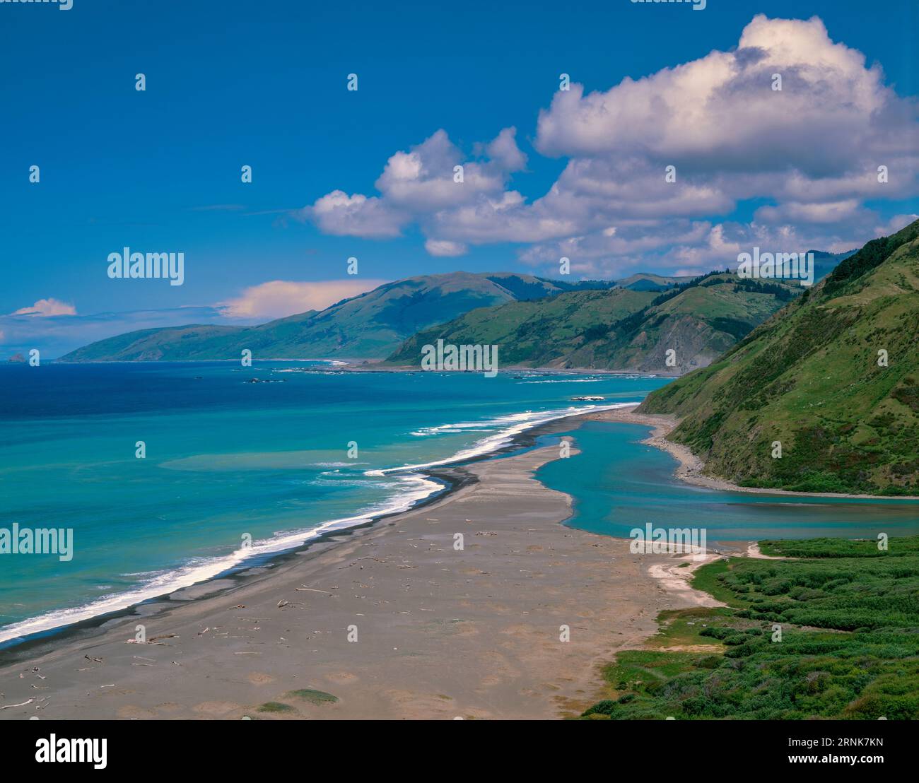 Mattole Beach, foce del fiume Mattole, King Range National Conservation area, Lost Coast, Humboldt County, California Foto Stock