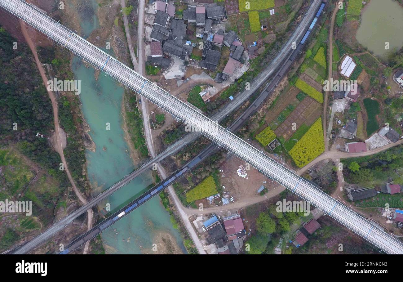 (170331) -- CHENGDU, 31 marzo 2017 -- questa foto aerea scattata il 29 marzo 2017 mostra il ponte Qinggangba di nuova costruzione della linea ferroviaria per il trasporto passeggeri nella provincia del Sichuan della Cina sud-occidentale. La linea passeggeri interurbana di 250 km all'ora collega Xi An, capitale della provincia dello Shaanxi della Cina nord-occidentale, con la capitale del Sichuan Chengdu. Poiché la costruzione sta per essere completata, diventerà la prima ferrovia ad alta velocità del paese che passa attraverso i monti Qinling. (hdt) CHINA-SICHUAN-RAILWAY-PASSENGER LINE (CN) XuexYubin PUBLICATIONxNOTxINxCHN Chengdu marzo 31 2017 questa Ae Foto Stock