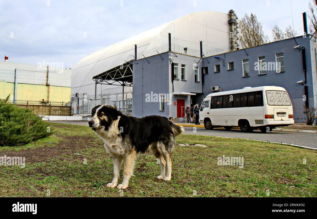 (170408) -- CHERNOBYL, 8 aprile 2017 -- Un cane si aggira intorno alla nuova copertura protettiva sul reattore nucleare di Chernobyl n. 4 distrutto a Chernobyl, in Ucraina, il 5 aprile 2017. Il governo ucraino ha recentemente dichiarato il territorio intorno alla centrale nucleare di Chernobyl come riserva della biosfera perché la fauna selvatica nell'area abbandonata sta fiorendo senza la presenza umana. ) (dtf) UKRAINE-CHERNOBYL-BIOSFERA RESERVE chenxjunfeng PUBLICATIONxNOTxINxCHN Chernobyl 8 aprile 2017 un cane vagabonda intorno alla nuova copertura protettiva sul reattore nucleare di Chernobyl n. 4 distrutto a Chernobyl Ucraina IL Foto Stock