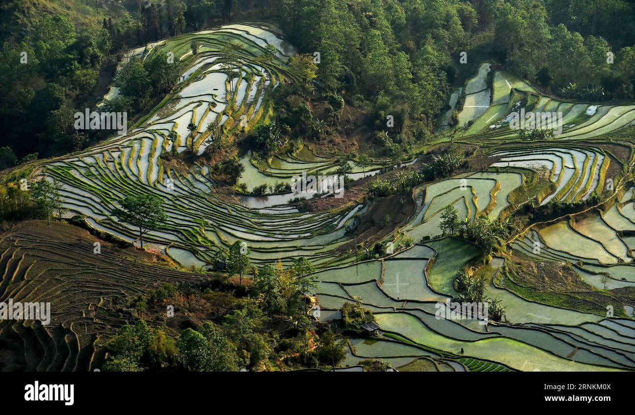 170410 -- YUANYANG, 10 aprile 2017 -- foto scattata il 9 aprile 2017 mostra il paesaggio dei campi terrazzati Hani nella contea di Yuanyang, nella provincia dello Yunnan della Cina sud-occidentale. L'Organizzazione delle Nazioni Unite per l'educazione, la scienza e la cultura, o UNESCO, ha inserito il paesaggio culturale cinese delle risaie di Honghe Hani nella sua lista dei patrimoni dell'umanità nel 2013. lfj CHINA-YUNNAN-HANI TERRAZZA-SCENARIO CN LinxYiguang PUBLICATIONxNOTxINxCHN Foto Stock