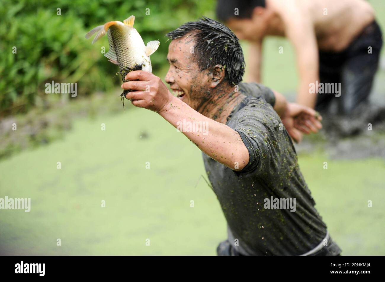 (170411) -- TAIJIANG, 11 aprile 2017 -- Un uomo si impossessa di un pesce in una gara di cattura di pesci nella città di Laotun della contea di Taijiang a Qiandongnan, nella provincia di Guizhou della Cina sud-occidentale, 11 aprile 2017. ) (Wjq) CINA-GUIZHOU-MIAO GRUPPO ETNICO-GARA DI CATTURA DI PESCI (CN) TaoxLiang PUBLICATIONxNOTxINxCHN 170411 Taijiang 11 aprile 2017 a Man GETS Hold of a Fish in a Fish Catching Contest a Laotun città della contea di Taijiang a Qiandongnan Cina sud-occidentale provincia di Guizhou 11 aprile 2017 wjq China Guizhou Miao etnico Group Fish Catching Contest CN TaoxLiang PUBLICATIONxNOTxINxCHN Foto Stock