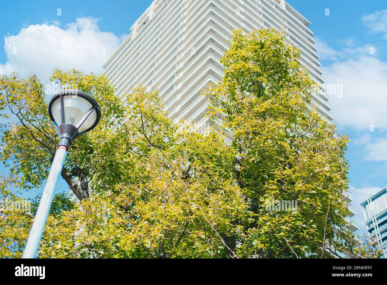 parco verde di piante di città intorno all'edificio di uffici per assorbire il carbonio per una vita ambientale sostenibile Foto Stock