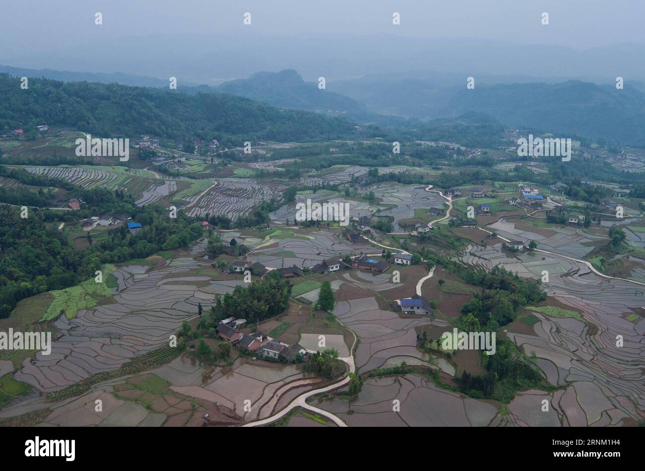 (170501) -- SHAWAN, 1° maggio 2017 -- foto aerea scattata il 1° maggio 2017 mostra campi terrazzati presso la cittadina di Hulu del distretto di Shawan sotto Leshan City, nella provincia del Sichuan della Cina sud-occidentale. Gli agricoltori sono impegnati a trapiantare piantine di riso nei campi terrazzati. ) (Yxb) CHINA-SICHUAN-TERRACED FIELDS-BUSY SEASON(CN) JiangxHongjing PUBLICATIONxNOTxINxCHN Shawan 1 maggio 2017 foto aerea scattata IL 1 maggio 2017 mostra campi terrazzati A Hulu Township del distretto di Shawan sotto Leshan City Southwest China S Sichuan Province Farmers here are busy transplings in the Terraced Fields yxb China SIC Foto Stock