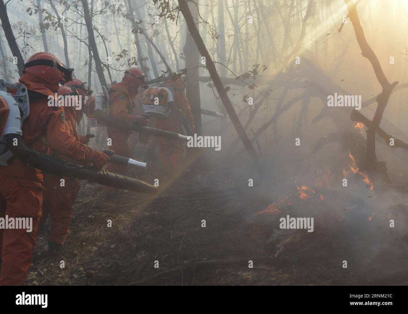 (170502) -- HULUNBUIR, 2 maggio 2017 -- i soldati armati della polizia estinguono il fuoco nella foresta di Yimuhe nelle montagne settentrionali della grande Hinggan, nella regione autonoma della Mongolia interna della Cina settentrionale, 1 maggio 2017. L'incendio è iniziato in Russia e si è diffuso attraverso il confine domenica pomeriggio alla foresta di Yimuhe. Più di 1.300 vigili del fuoco e polizia avevano spento l'incendio alle 23:21 di lunedì. Secondo l'amministrazione, sono state adottate misure per evitare che l'incendio si riaccenda. )(mcg) INCENDIO BOSCHIVO TRANSFRONTALIERO DELLA MONGOLIA INTERNA ALLA CINA (CN) MaoxYatuan PUBLICATIONxNOTxINxCHN Hulunbuir 2 maggio 2017 polizia armata soldati Foto Stock