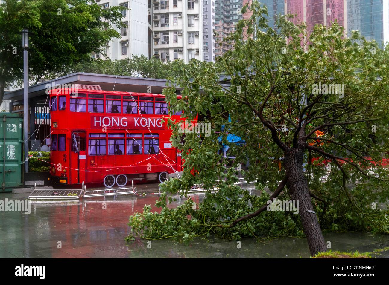 Hong Kong, Hong Kong. 2 settembre 2023. Un tram decorativo è circondato da detriti provenienti dalla tempesta. Il Super Typhoon Saola colpì Hong Kong, lasciando dietro di sé molti alberi caduti, segni strappati e proprietà danneggiate. L'Osservatorio di Hong Kong ha issato il numero 10 Typhoon Signal, il più alto livello di allarme, emesso per l'ultima volta nel 2018 per Typhoon Mangkhut. Fortunatamente, sono stati registrati pochi feriti e nessun morto, con lo sforzo di pulizia per iniziare quando la tempesta lascia l'area. Credito: SOPA Images Limited/Alamy Live News Foto Stock