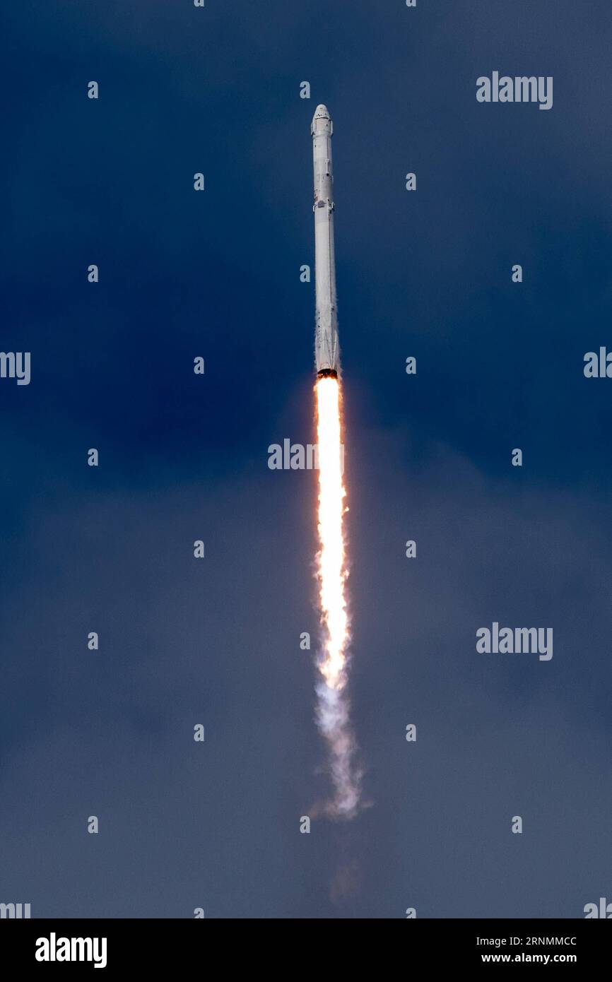 (170603) -- NEW YORK, 3 giugno 2017 () -- la foto resa disponibile dalla società spaziale statunitense SpaceX il 3 giugno 2017 mostra il lancio del razzo Falcon 9 al Kennedy Space Center in Florida, negli Stati Uniti. Sabato la società spaziale statunitense SpaceX ha lanciato rifornimenti per la stazione spaziale Internazionale, tra cui un esperimento di un'università cinese che testerà gli effetti degli ambienti spaziali sul DNA. () U.S.-FLORIDA-SPACE X-CHINESE EXPERIMENT-SPACE STATION-LAUNCH Xinhua PUBLICATIONxNOTxINxCHN New York 3 giugno 2017 la foto resa disponibile dalla società spaziale statunitense SpaceX IL 3 giugno 2017 mostra il Foto Stock