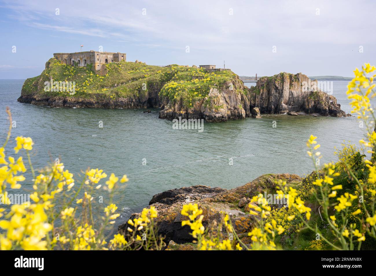 St Catherines Island e St Catherines Fort, Tenby, Pembrokeshire, Galles Foto Stock