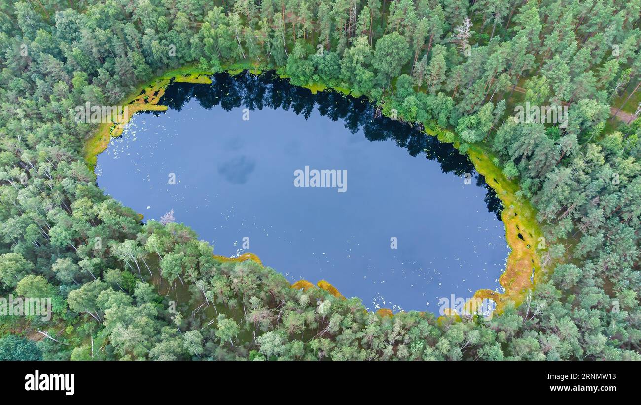 Vista aerea di un piccolo lago nelle foreste della Lituania, natura selvaggia, area paludosa. Il nome del lago è "Velniskis", distretto di Varėna. Foto Stock