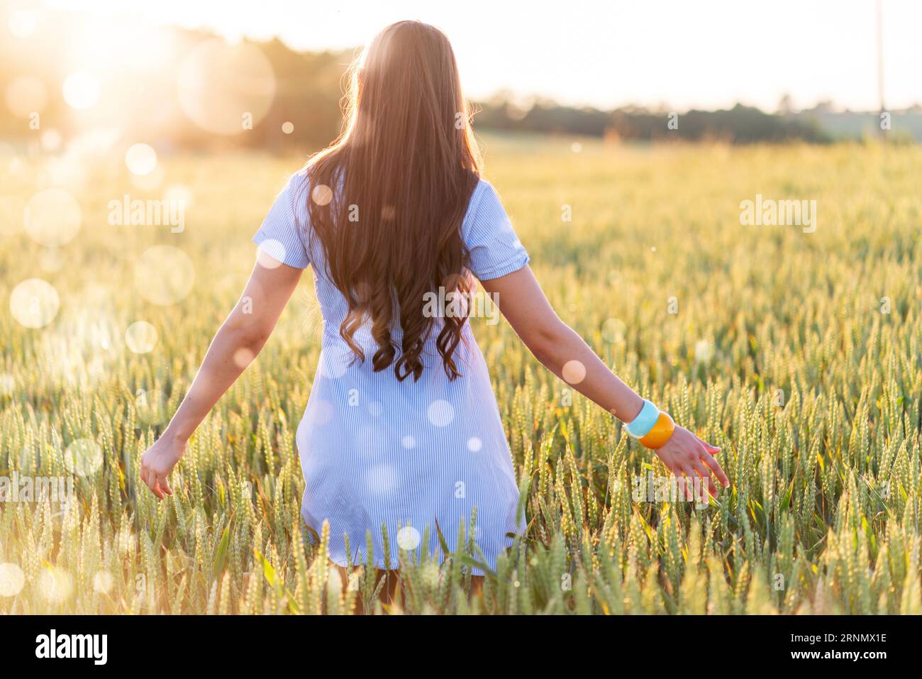 una giovane donna con i capelli lunghi in un abito corto cammina in un campo di grano con le spalle alla macchina fotografica Foto Stock
