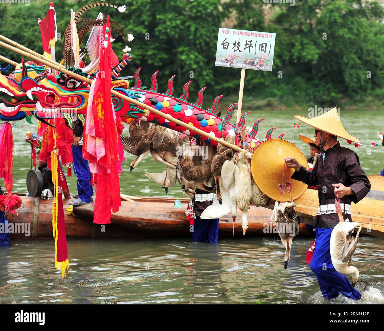 (170619) -- TAIJIANG, 19 giugno 2017 -- le persone appendono oche sulla testa di una canoa drago a Taijiang, nella provincia di Guizhou, nella Cina sud-occidentale, 19 giugno 2017. Il popolo del gruppo etnico Miao si è riunito qui mercoledì per celebrare il festival della canoa del drago, patrimonio culturale immateriale nazionale cinese. (Zkr) CHINA-GUIZHOU-TAIJIANG-DRAGON CANOE FESTIVAL (CN) TaoxLiang PUBLICATIONxNOTxINxCHN Taijiang 19 giugno 2017 celebrità oche in pendenza SULLA testa di una canoa Dragon a Taijiang nella provincia di Guizhou del sud-ovest della Cina 19 giugno 2017 celebrità del gruppo etnico Miao si sono riunite qui mercoledì a Cel Foto Stock