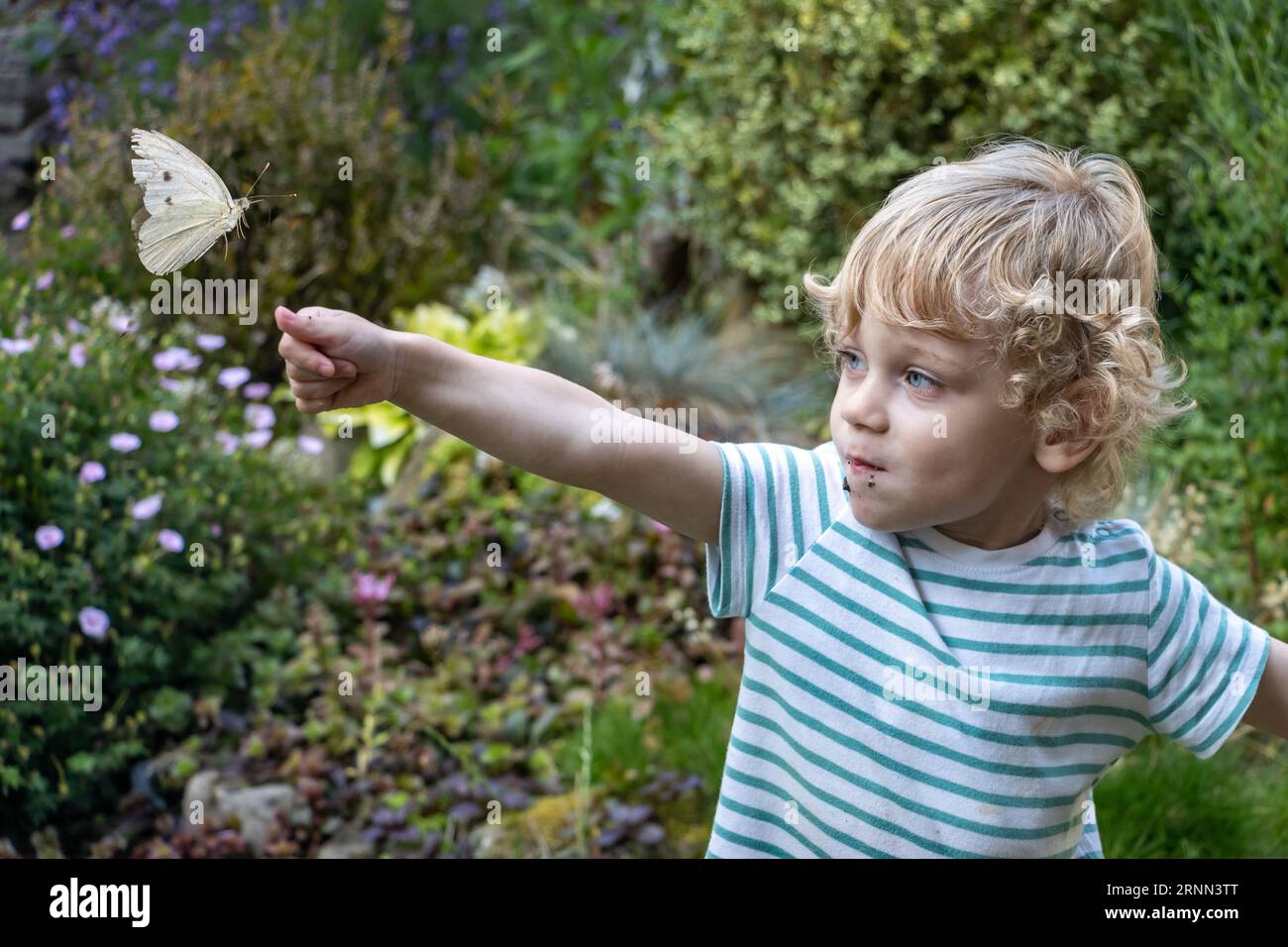 Un bambino sta giocando con una farfalla in giardino Foto Stock