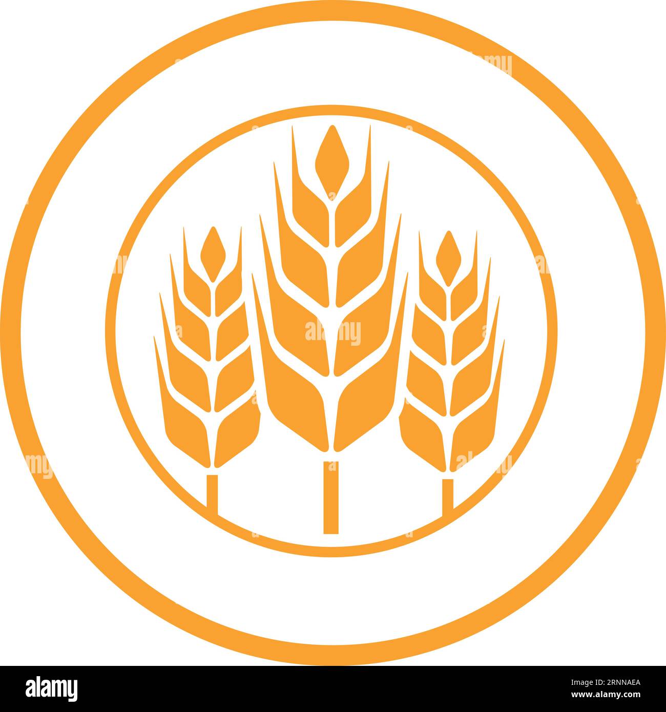 Etichetta Premium rotonda con frumento. Birra biologica a base di cereali Illustrazione Vettoriale