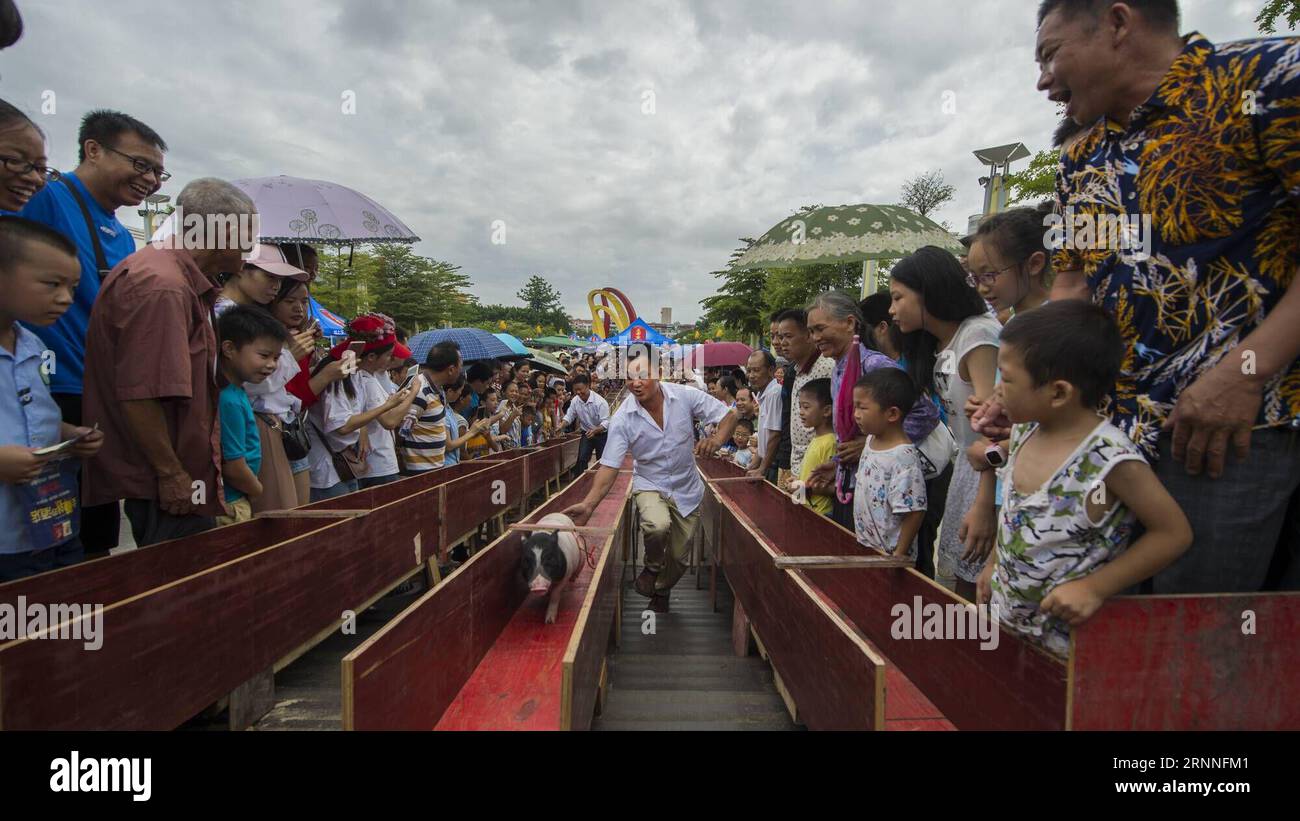 (170712) -- BAISE, 12 luglio 2017 -- la gente guarda una gara di maiali nella contea di Tiandong, nella regione autonoma del Guangxi Zhuang della Cina sud-occidentale, 12 luglio 2017. Un festival popolare con cultura mango si è tenuto nella contea di Tiandong mercoledì. Diverse attività come spining, gare di maiali, spettacoli di indumenti e gare di mango hanno attirato molte persone. ) (lxx) CHINA-GUANGXI-BAISE-FOLK FESTIVAL(CN) XiexPeixia PUBLICATIONxNOTxINxCHN Baise 12 luglio 2017 Celebrities Watch a Pig Race in Tian Dong County Southwest China S Guangxi Zhuang Autonomous Region 12 luglio 2017 a Folk Festival with Mango Culture What Hero in T. Foto Stock