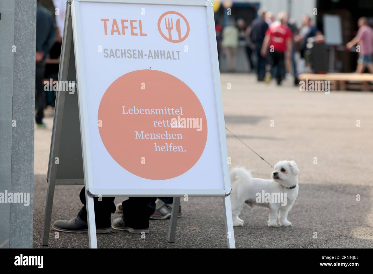 Hohenerxleben, Germania. 2 settembre 2023. Il logo Tafel si trova su un espositore. Il giorno di apertura nel magazzino centrale della Sassonia-Anhalt di Tafel tutti i cittadini interessati potevano informarsi sul lavoro del Tafel. Credito: Peter Gercke/dpa-Zentralbild/dpa/Alamy Live News Foto Stock