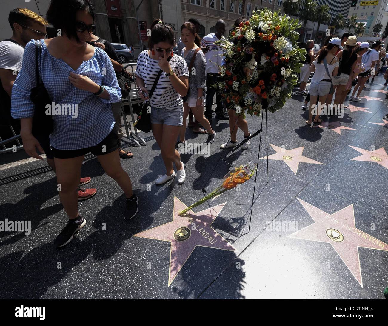 (170718) -- LOS ANGELES, 18 luglio 2017 -- Fiori in memoria dell'attore Martin Landau sono collocati sulla sua stella sulla Hollywood Walk of Fame di fronte al Dolby Theatre, a Los Angeles, negli Stati Uniti, il 17 luglio 2017. Landau, l'attore che ha guadagnato fama nella serie TV degli anni '1960 Mission: Impossible, ha poi chiuso una lunga carriera con un Oscar per il suo ruolo di vecchia star del cinema horror Bela Lugosi nel 1994 S ed Wood, morto sabato 15 luglio 2017. Aveva 89 anni. (swt) U.S.-LOS ANGELES-MARTTIN LANDAU-TRIBUTE ZhaoxHanrong PUBLICATIONxNOTxINxCHN Los Angeles 18 luglio 2017 Fiori in memoria dell'attore Martin Landau Foto Stock