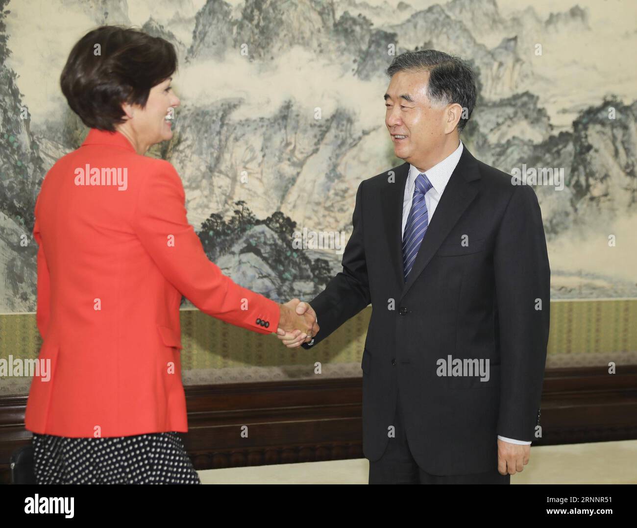 (170725) -- PECHINO, 25 luglio 2017 -- il vice Premier cinese Wang Yang(R) stringe la mano al governatore dell'Iowa Kim Reynolds a Pechino, Cina, 25 luglio 2017. ) (clq) CHINA-BEIJING-WANG YANG-IOWA GOVERNOR-MEETING (CN) DingxLin PUBLICATIONxNOTxINxCHN Pechino luglio 25 2017 il vice Premier cinese Wang Yang r Shakes Hands with Iowa Governor Kim Reynolds a Pechino Cina luglio 25 2017 CLQ China Beijing Wang Yang Iowa Governor Meeting CN DingxLin PUBLICATIONxNOTxINxCHN Foto Stock