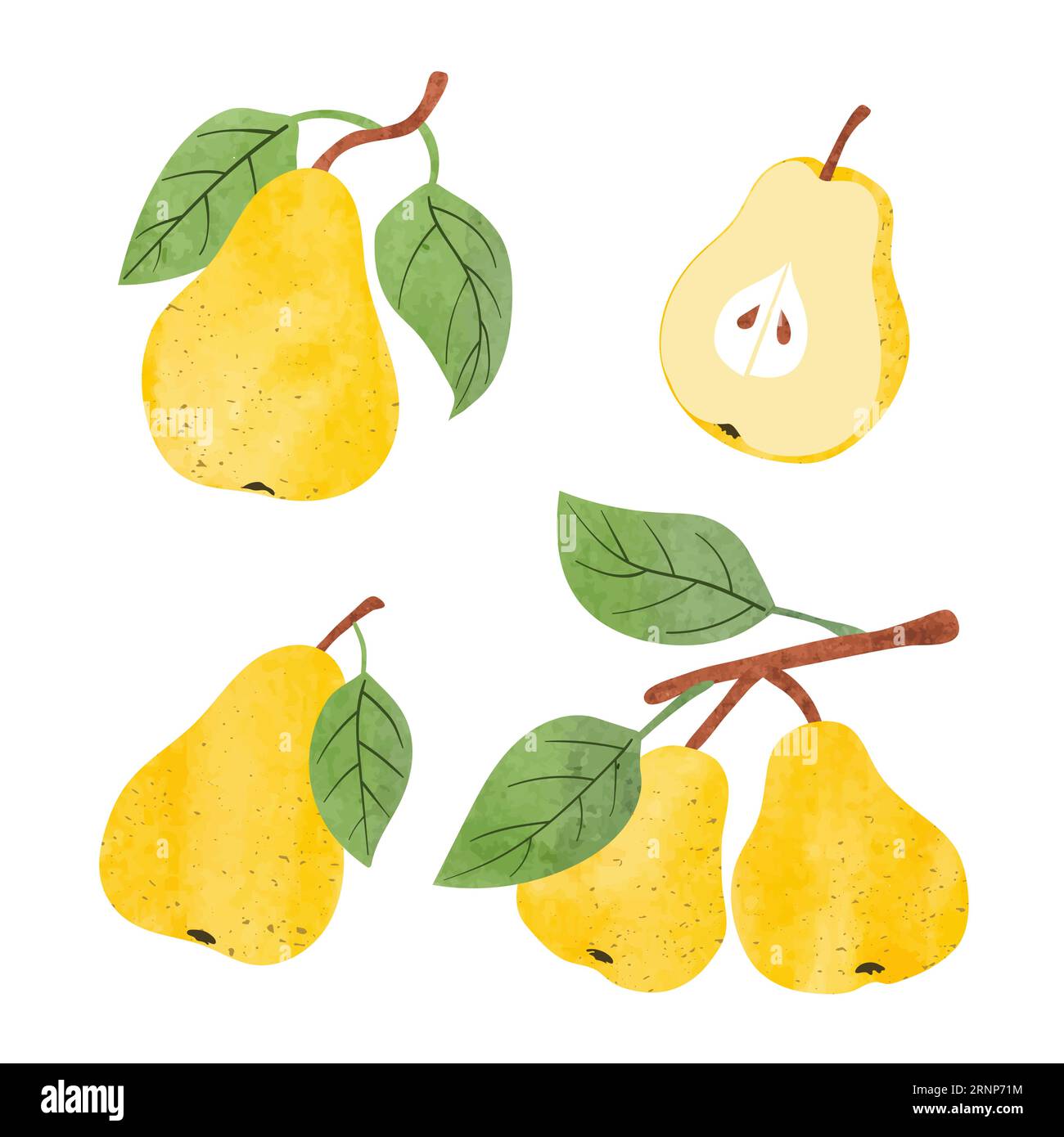 Set di pere acquerello. Illustrazione Vector Fruit. Illustrazione Vettoriale