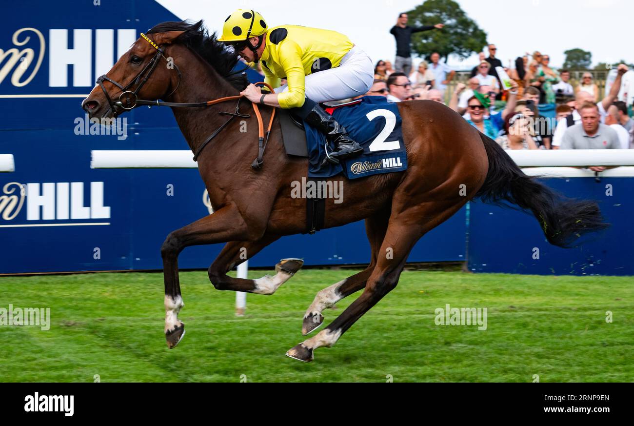 Beverley Racecourse, Beverley, Regno Unito, sabato 2 settembre 2023; Aimeric e il fantino Jack Mitchell vincono la prima gara sul William Hill Beverley Bullet Stakes Day per l'allenatore Roger Varian e il proprietario Sheikh Mohammed Obaid al Maktoum. Credito immagini equine JTW / Alamy Live News Foto Stock