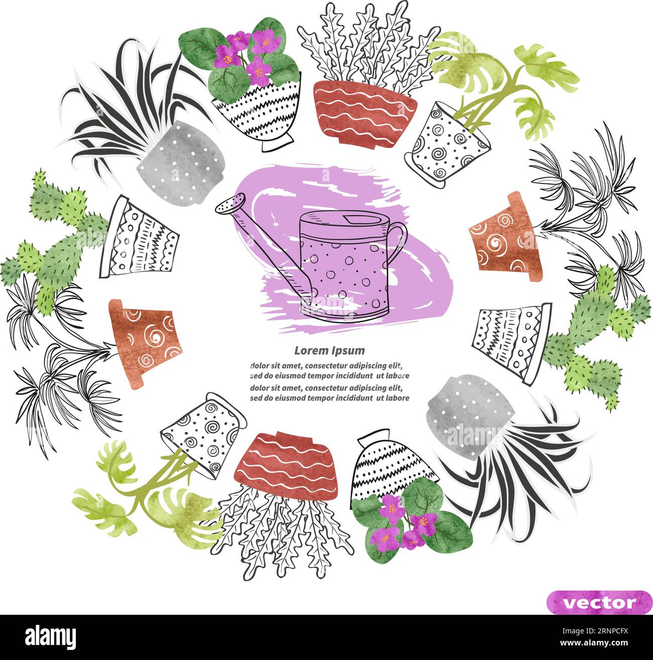Telaio rotondo con piante nei vasi. Sfondo decorativo vettoriale Illustrazione Vettoriale