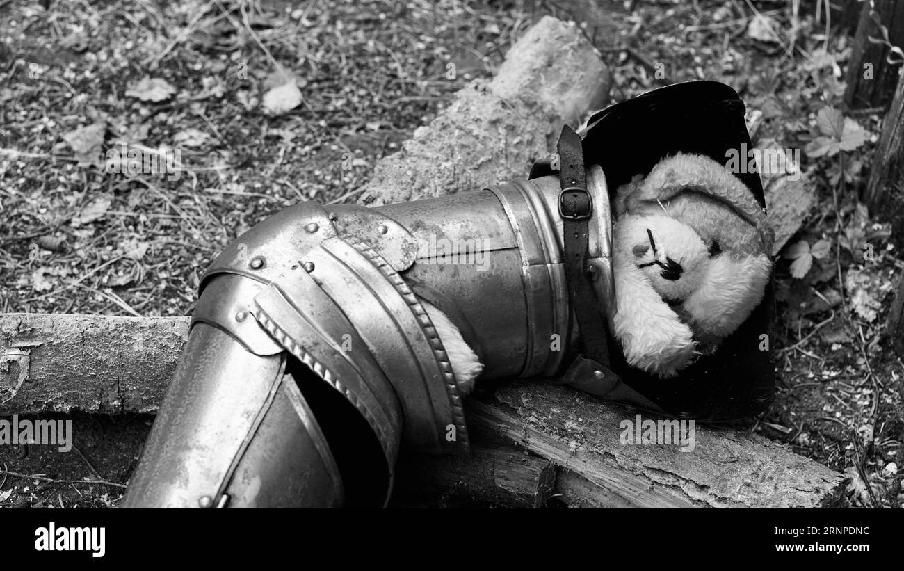 Il braccio di un'armatura di cavalieri su pezzi di legna da ardere. Un cane giocattolo che dorme dentro. Foto Stock