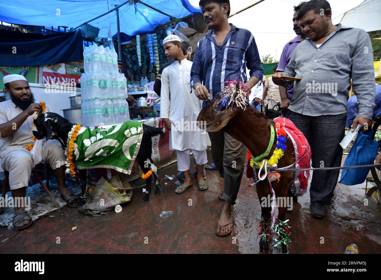 (170901) -- NEW DELHI, 1 settembre 2017 -- Una capra è vista in una strada vicino al mercato Jama Masjid alla vigilia del festival Eid al-Adha a nuova Delhi, India, 1 settembre 2017. I musulmani in India si stanno preparando a celebrare il festival annuale di Eid al-Adha, o il Festival del sacrificio. ) INDIA-NEW DELHI-EID AL-ADHA-GOAT MARKET Stringer PUBLICATIONxNOTxINxCHN nuova Delhi 1 settembre 2017 a GOAT IS Lakes in a Street near Jama Masjid Market ON the Eve of Oath al Adha Festival a New Delhi India 1 settembre 2017 i musulmani in India si preparano a celebrare il Festival annuale del giuramento al Adha o il Festival del sacrificio in Foto Stock