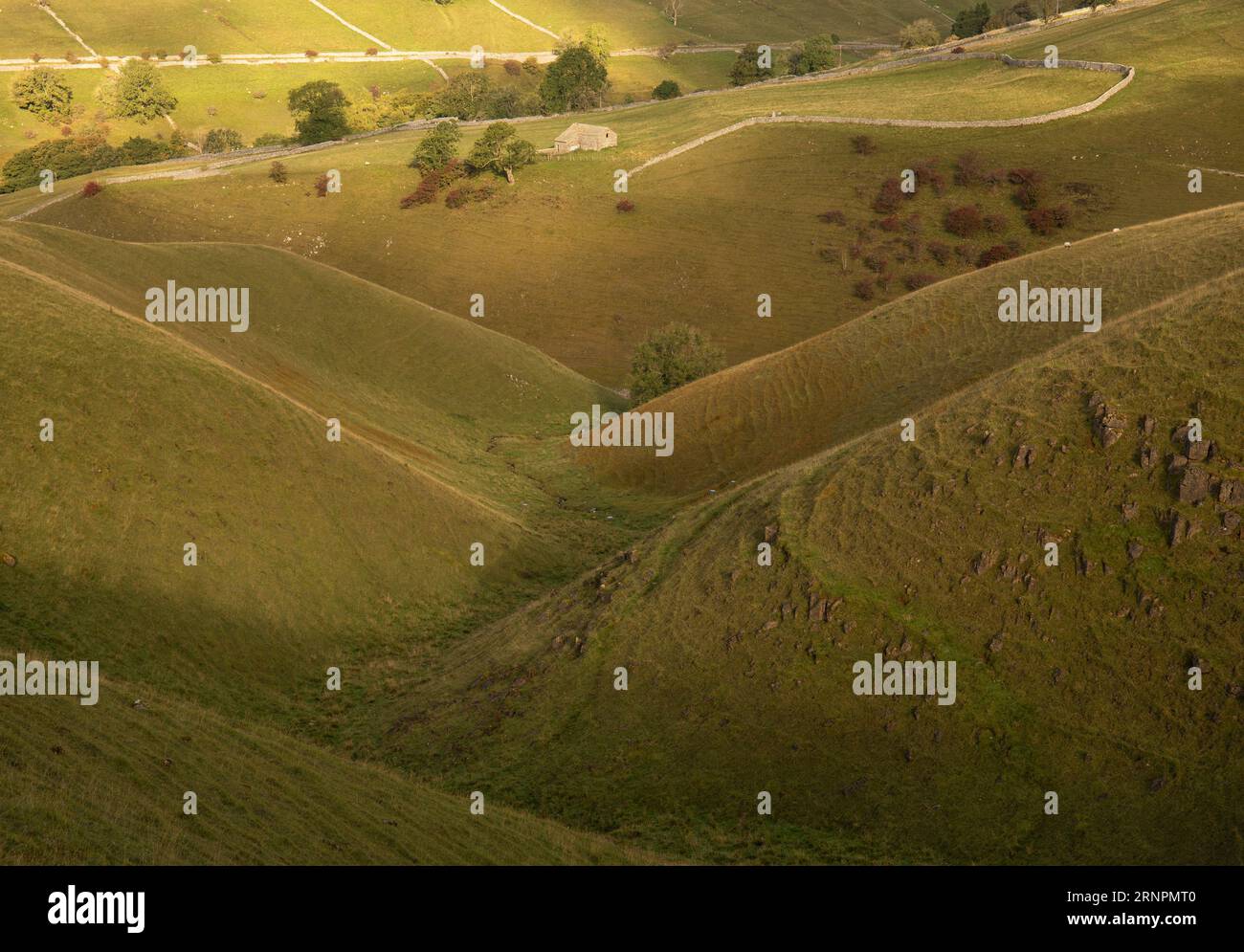 Colori autunnali a Dowber Gill, sopra Kettlewell, Wharfedale, Yorkshire Dales, North Yorkshire, REGNO UNITO. Foto Stock