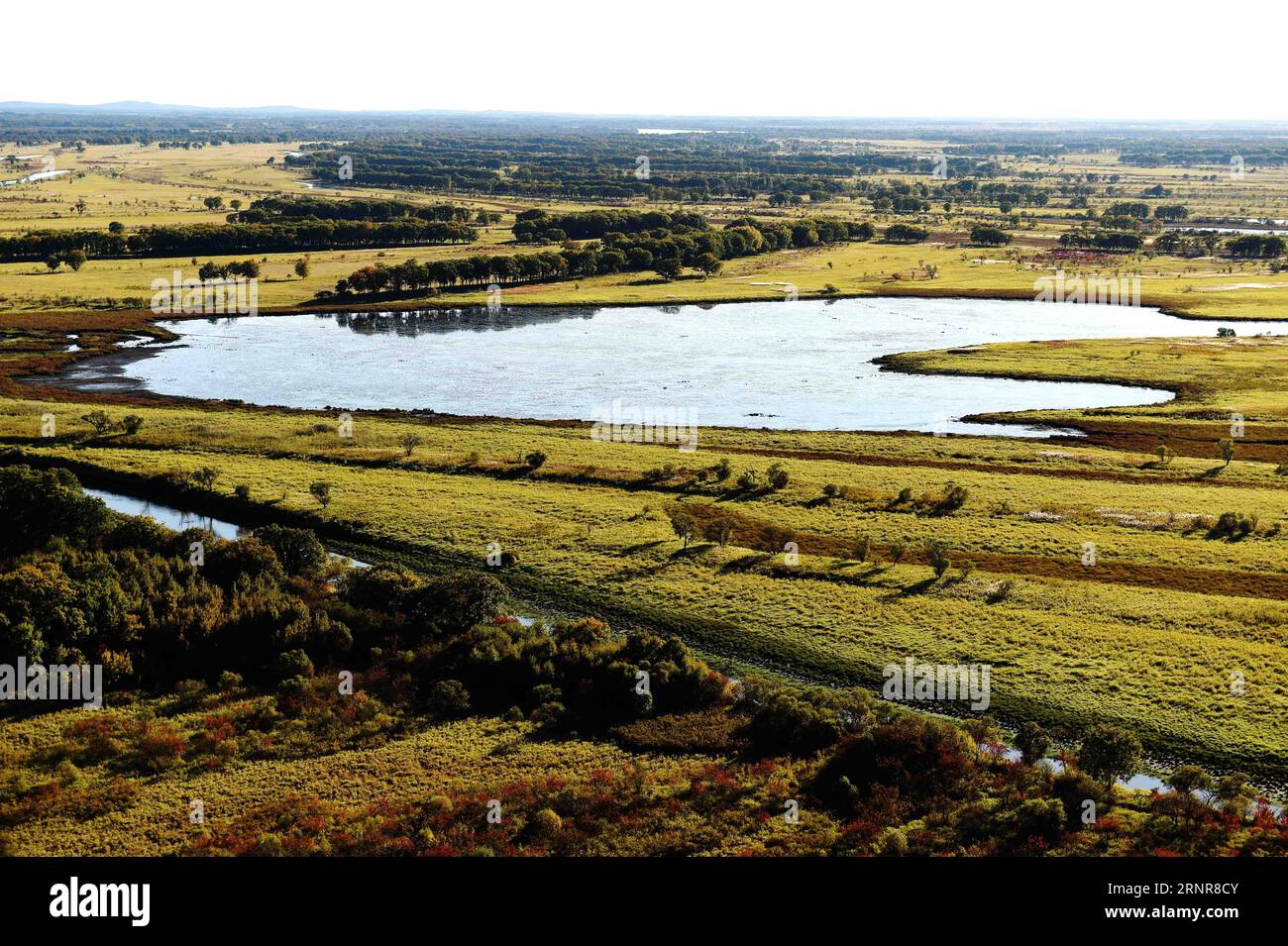 (170922) -- HULIN, 22 settembre 2017 -- foto scattata il 21 settembre 2017 mostra lo scenario della zona umida dell'isola di Zhenbao a Hulin, nella provincia di Heilongjiang nella Cina nordorientale. L'autunno ha dipinto la zona umida come un luogo multicolore. (lfj) CINA-HEILONGJIANG-ZONA UMIDA-AUTUNNO (CN) WangxJianwei PUBLICATIONxNOTxINxCHN Foto Stock