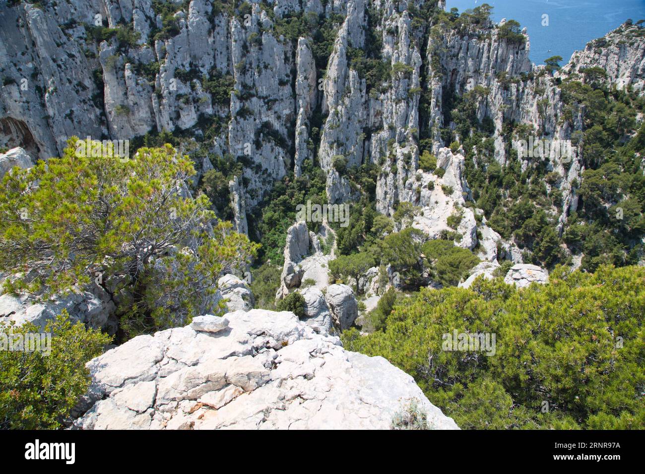 le calanques (francia) con le loro impressionanti rocce, piante e acqua cristallina Foto Stock