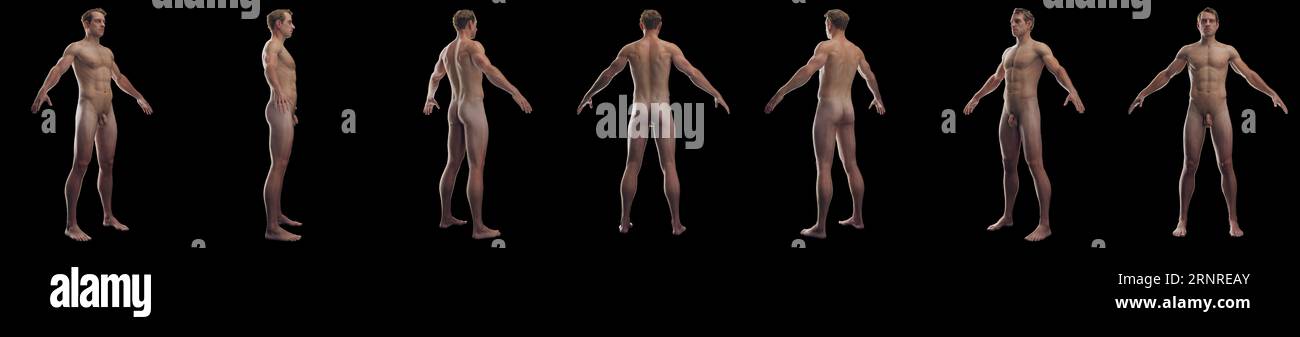 Sistema integumentary maschile, illustrazione Foto Stock