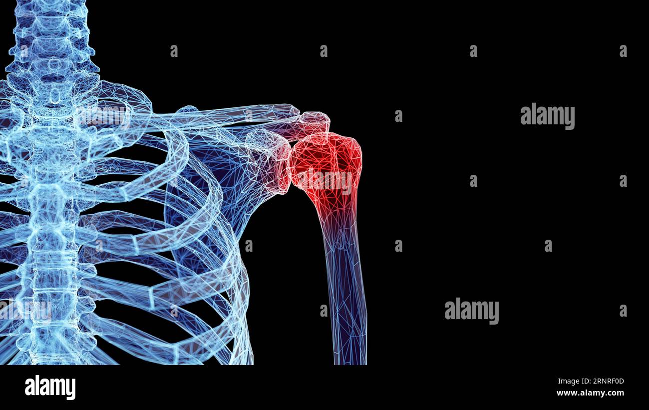 Ossa della spalla, illustrazione Foto Stock