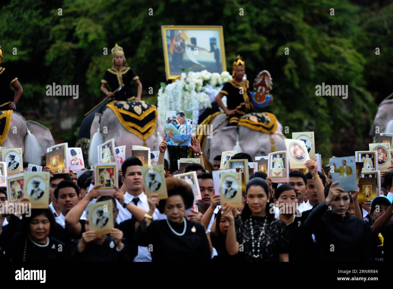 (171013) -- AYUTTHAYA (THAILANDIA), 13 ottobre 2017 -- i luttuani tengono ritratti del defunto re tailandese Bhumibol Adulyadej davanti a una formazione di elefanti bianchi durante una cerimonia commemorativa del primo anniversario della morte del defunto re tailandese ad Ayutthaya, Thailandia centrale, 13 ottobre 2017. Re Bhumibol Adulyadej è deceduto il 13 ottobre dello scorso anno, e il governo thailandese ha reso il 13 ottobre un giorno festivo annuale per commemorare il defunto re. ) (Zjy) THAILANDIA-AYUTTHAYA-TARDIVO RE-MORTE-ANNIVERSARIO RachenxSageamsak PUBLICATIONxNOTxINxCHN Foto Stock