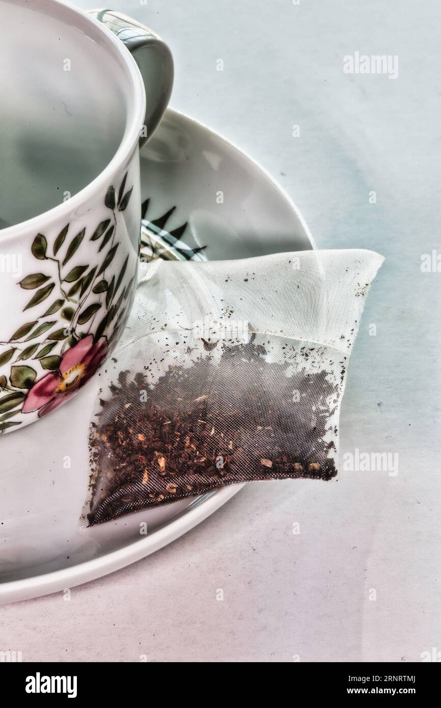Primo piano di un teabag biodegradabile su Find Bone china cup and saucer, 2023, USA Foto Stock