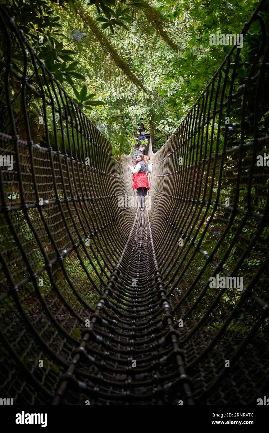 Un ponte di corda, il Burma Bridge, attraverso un torrente attraverso l'area della giungla birmana dei Lost Gardens of Heligan in Cornovaglia, Regno Unito Foto Stock