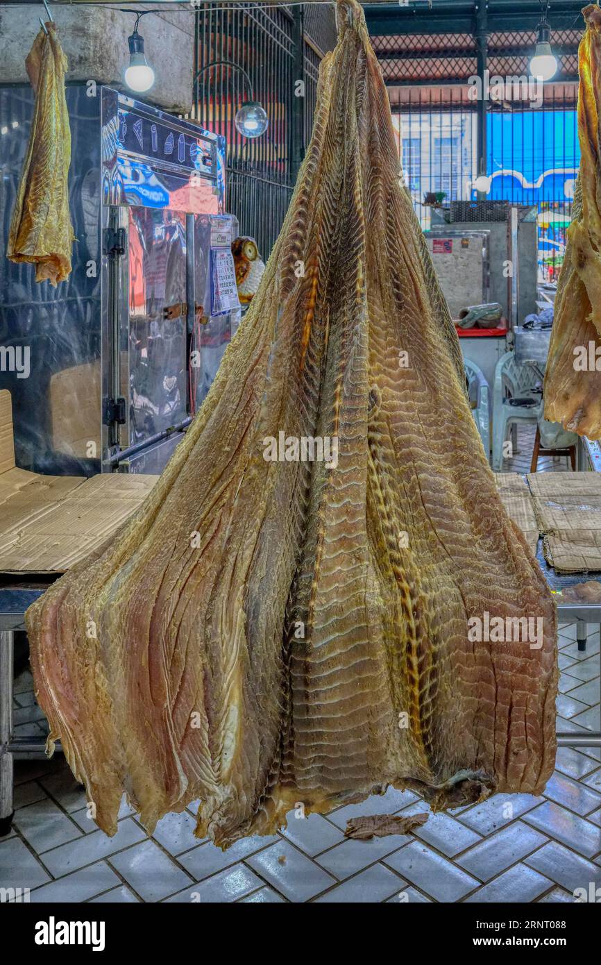 Pesce pirarucu gigante o pesce (arapaima gigas) appeso nella sezione del mercato del pesce, mercato Adolpho Lisboa, Manaus, stato dell'Amazzonia, Brasile Foto Stock