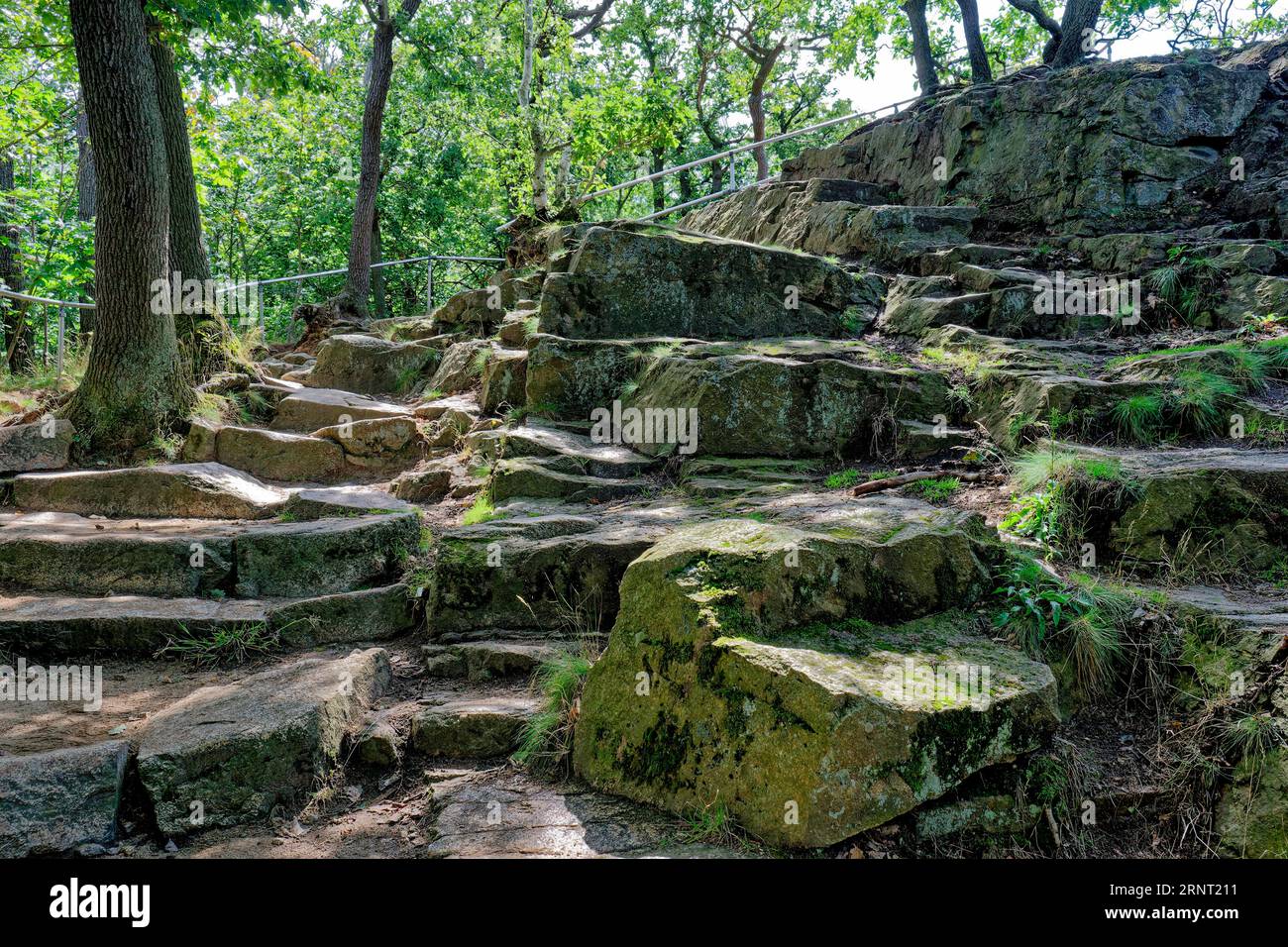 Felsenweg an der Rosstrappe, Thale, Harz, Sassonia-Anhalt, Germania Foto Stock