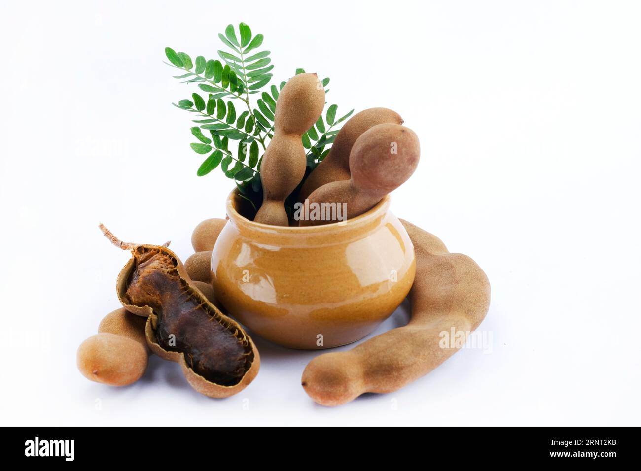 Tamarindi freschi e maturi, tamarindo con polpa marrone con foglia verde. Foto Stock