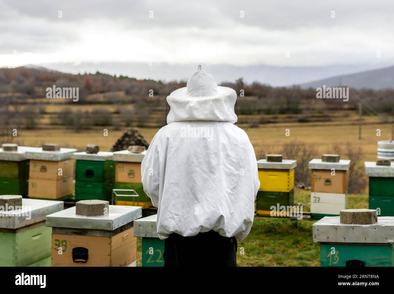 Stile di vita country con alveari Foto Stock