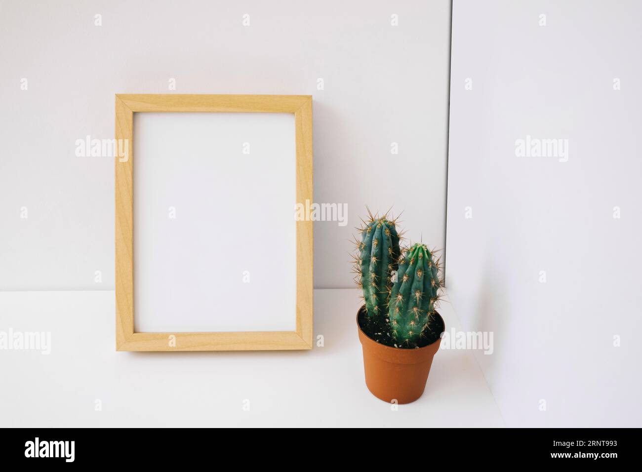 Cactus. Telaio Foto Stock