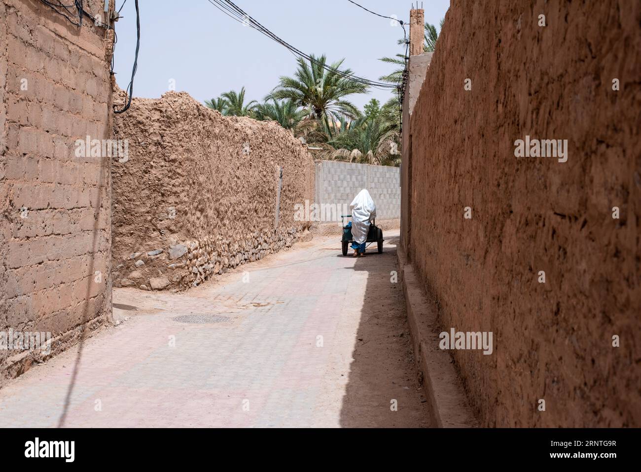 Donna con carrello in una giornata di sole a Figuig, in Marocco Foto Stock