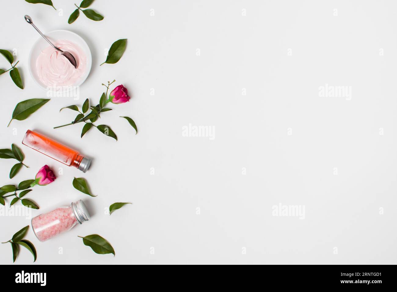 Disposizione della vista superiore con spazio di copia delle lamelle Foto Stock