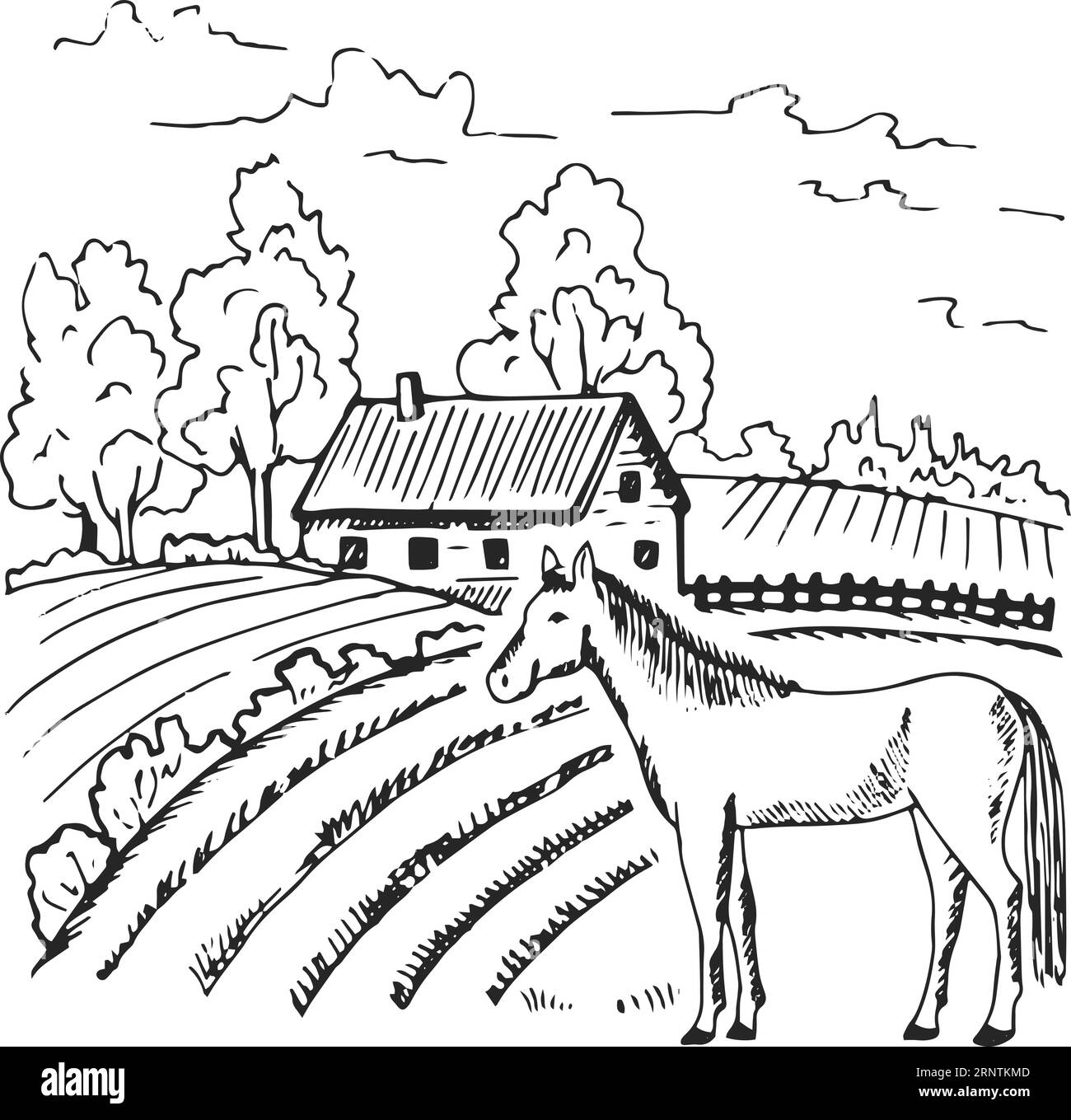 Paesaggio agricolo. Campagna retrò disegnata a mano Illustrazione Vettoriale