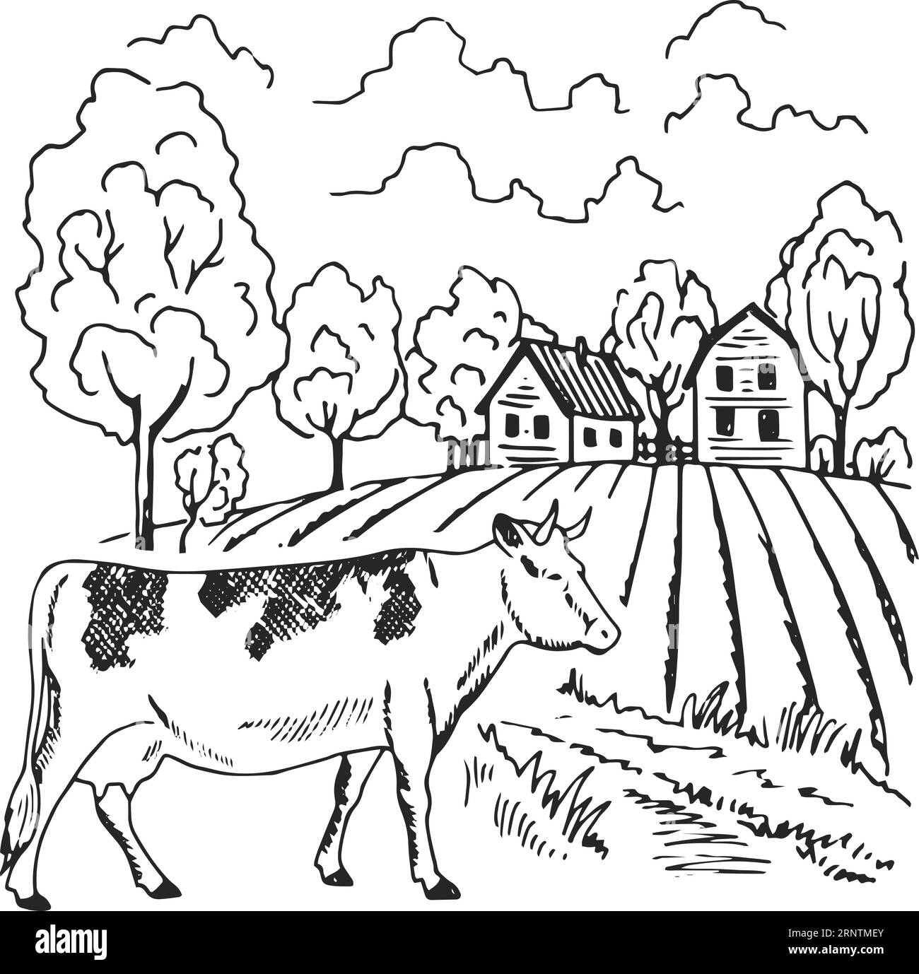 Paesaggio di campagna con mucca. Schizzo della fattoria. Disegno rurale Illustrazione Vettoriale