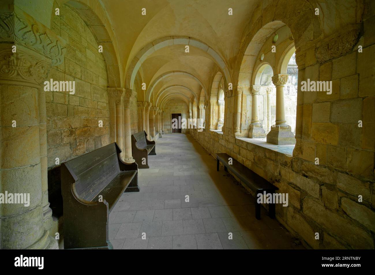 Chiostro, Collegiata di San Cyriacus, fotografia interna, Gernrode, Monti Harz, Sassonia-Anhalt, Germania Foto Stock