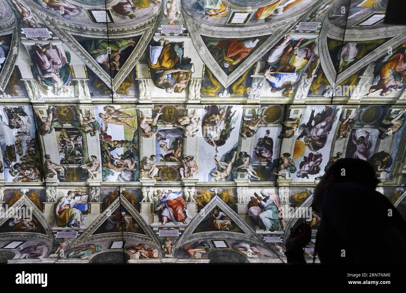(171113) -- NEW YORK, 13 novembre 2017 -- Un visitatore vede la riproduzione fotografica dei dipinti sul soffitto Sistino di Michelangelo durante la mostra Michelangelo: Devine Disegnatore e Designer tenutasi al Metropolitan Museum of Art di New York, Stati Uniti, il 13 novembre 2017. La mostra, che dura dal 13 novembre 2017 al 12 febbraio 2018, presenta una straordinaria gamma e un numero di opere di Michelangelo Buonarroti: 133 dei suoi disegni, tre delle sue sculture di marmo, il suo primo dipinto, il suo modello architettonico in legno per una volta di cappella, nonché un sostanziale corpo di complementa Foto Stock