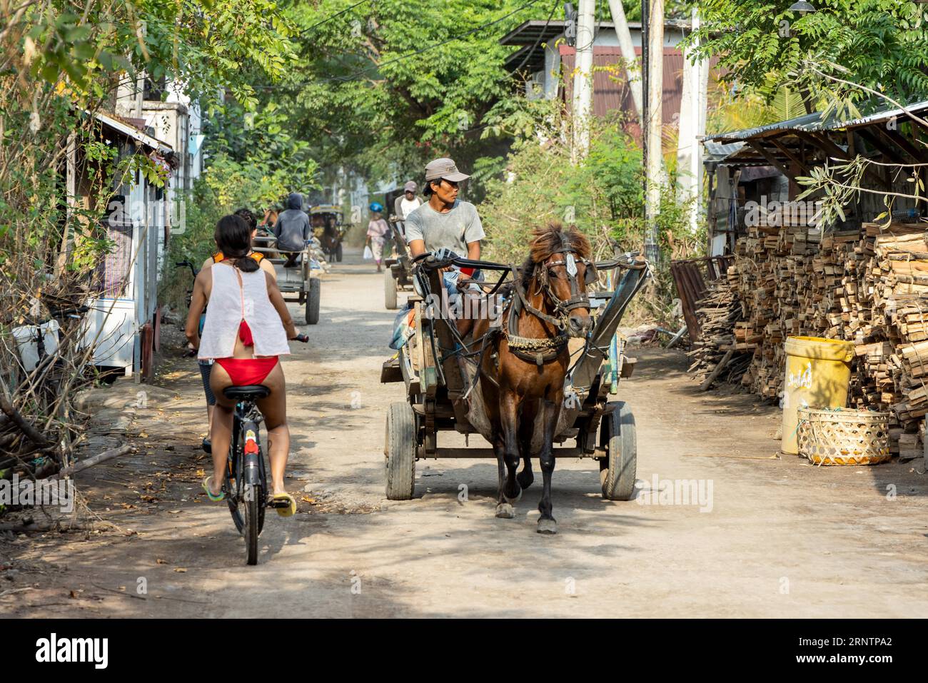 Bicicletta e carrozza trainata da cavalli, Gili Trawangan, isola al largo di Lombok, West Nusa Tenggara, Indonesia, sud-est asiatico Foto Stock