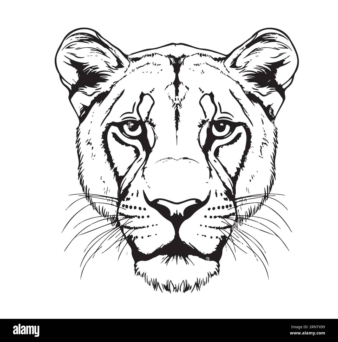 Cartone animato Lioness Head disegno a mano illustrazione Safari Animals Illustrazione Vettoriale