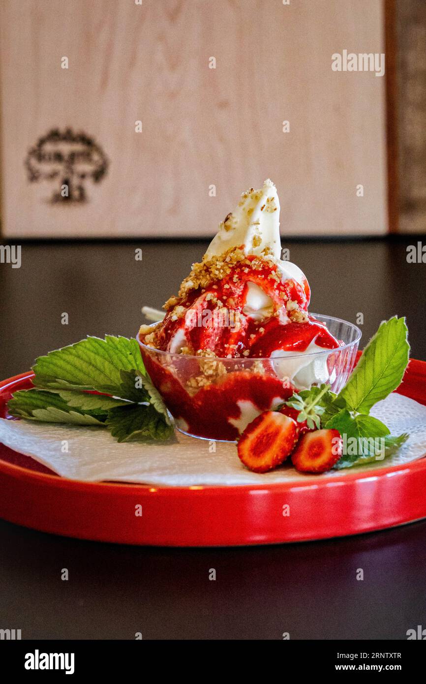 EIS mit einer Erdbersoße und streussel rundherum. Foto Stock